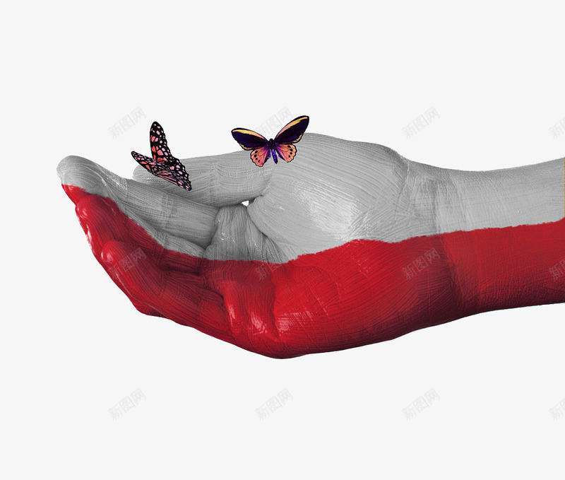 创意波兰国旗手绘蝴蝶图案png免抠素材_新图网 https://ixintu.com 创意风格 创新 国旗 国旗手绘 手绘 波兰 蝴蝶 装饰图案