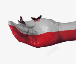 创新修饰图案创意波兰国旗手绘蝴蝶图案高清图片