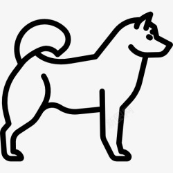 狗品种Husky图标高清图片