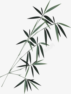 书画竹子竹子高清图片