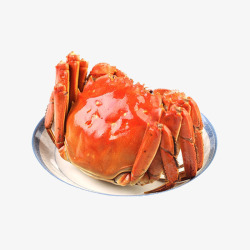 矢量水产螃蟹装盘大闸蟹产品实图高清图片