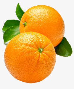 果实叶子两个橙子高清图片
