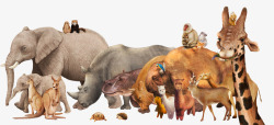 卡通野生动物集合装饰图案素材