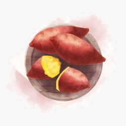 甘藷新鲜红薯手绘插画高清图片