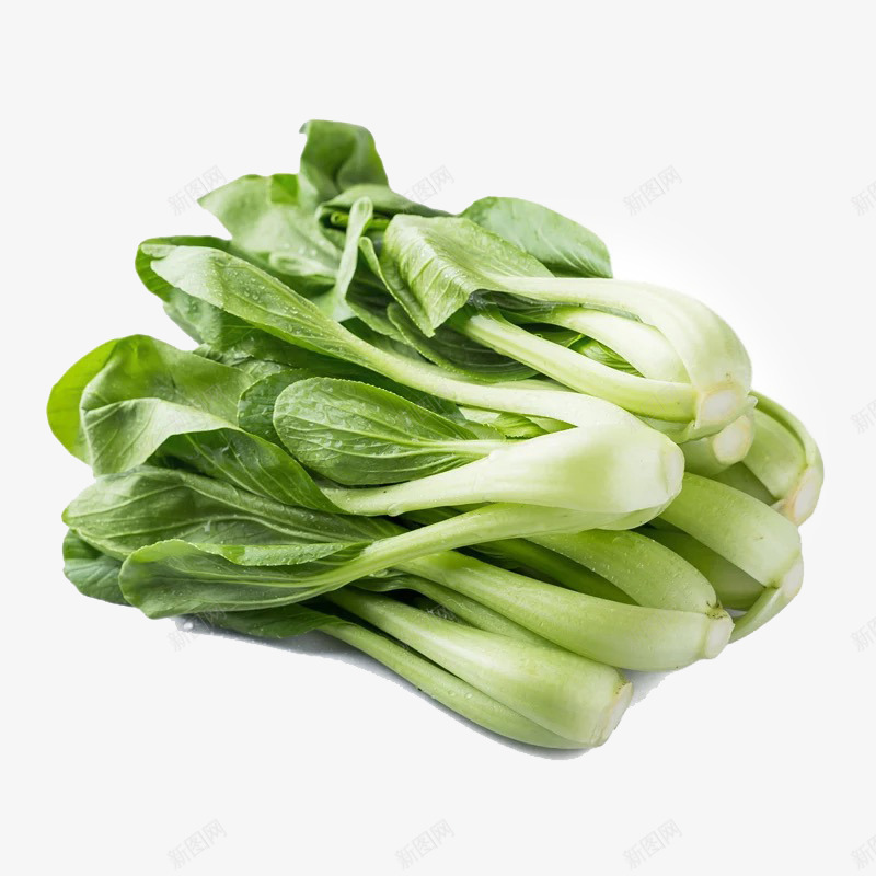 新鲜油菜png免抠素材_新图网 https://ixintu.com 产品实物 健康食品 吃出健康 绿色 菜胆 蔬菜 青菜