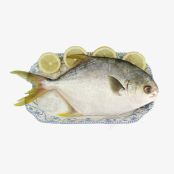 一条鲳鱼一条放在盘里的鲳鱼高清图片