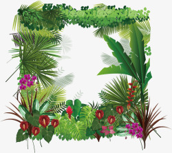 热带雨林边框素材