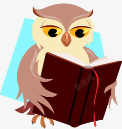 扁平猫头鹰看书素材
