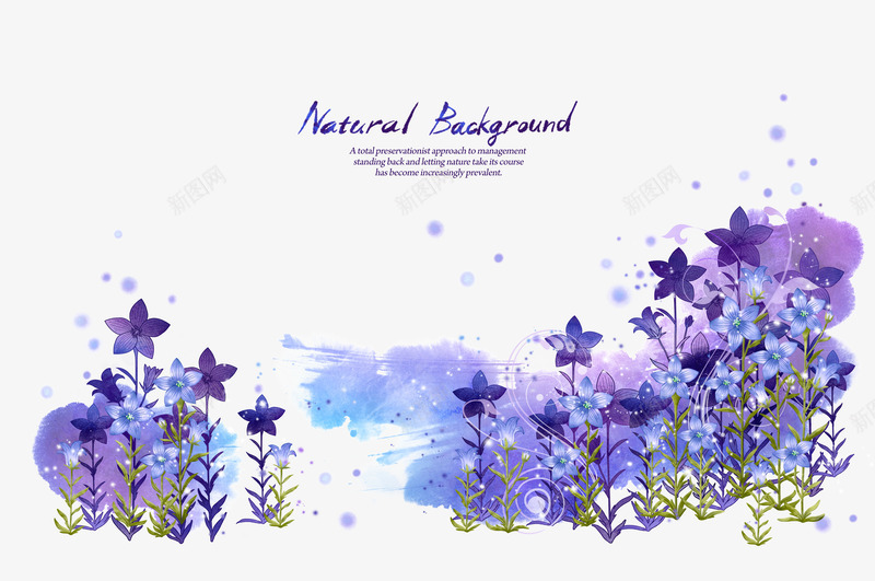 紫色花朵PSD分层png免抠素材_新图网 https://ixintu.com 植物 红色 绿叶 花卉 花朵 边框 韩国素材