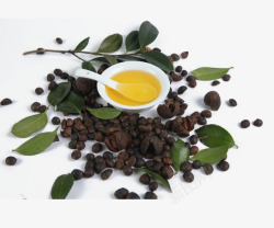 淘宝详情页主题背景健康的山茶果油高清图片