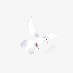 和平的象征卡通和平鸽元素高清图片