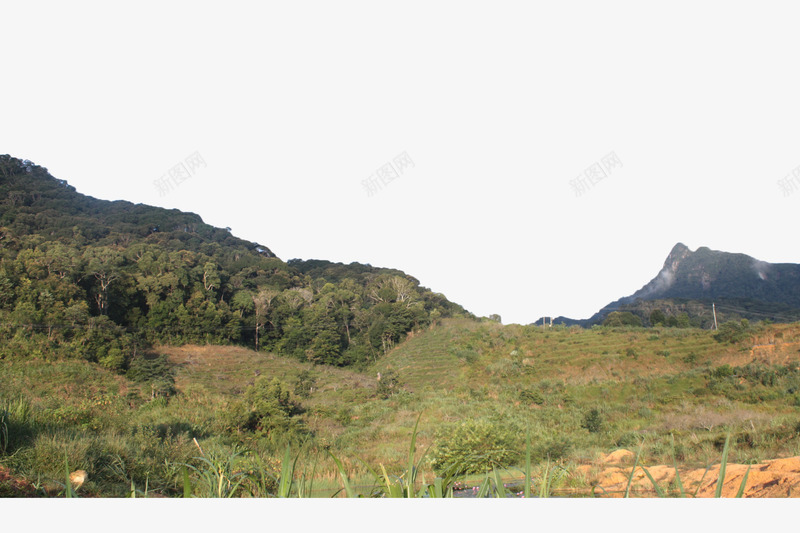 生机勃勃的小山坡png免抠素材_新图网 https://ixintu.com 土地 土坡 土坯 小山 山坡 树丛 石硕 草地 阳光