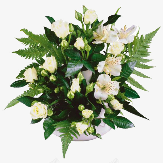 花团锦簇png免抠素材_新图网 https://ixintu.com 心情愉悦 白色玫瑰 白色花瓶 白色花簇 盛开 绿叶 装饰房间
