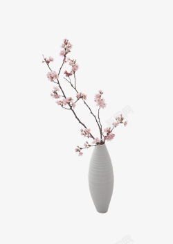 一枝樱花插在花瓶里素材