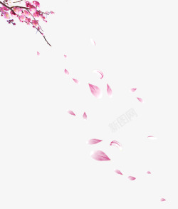云淡风轻的夏天飘落的花瓣高清图片