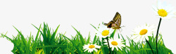 小花和蝴蝶矢量草地蝴蝶小花高清图片