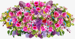 紫色花盆花团锦簇各种鲜花高清图片