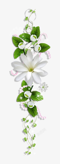 珍珠绿叶白花骨朵花莲素材