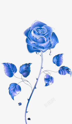 玫瑰花蓝色蓝色的玫瑰花浪漫有你高清图片