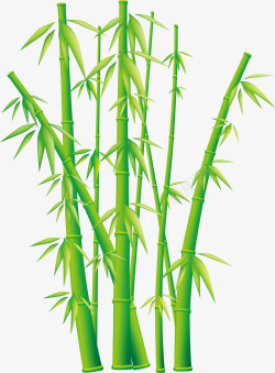 细竹子背景图片栩栩如生的竹子绿色片高清图片