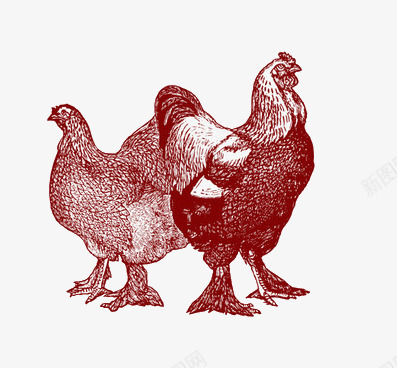 背对背的鸡png免抠素材_新图网 https://ixintu.com 创意 背对背 鸡 鸡年