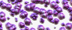 吸烟还害细菌紫色的细菌球库高清图片
