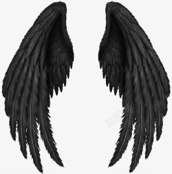黑暗元素黑色的翅膀羽毛高清图片
