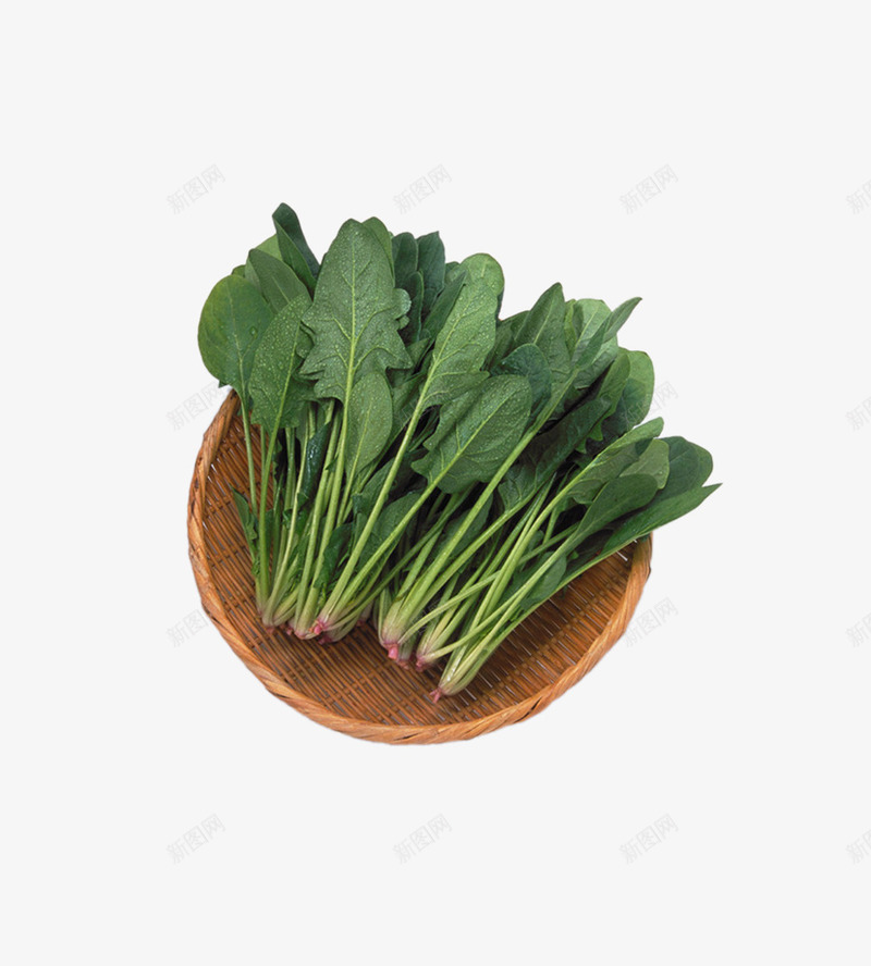 菠菜png免抠素材_新图网 https://ixintu.com 新鲜蔬菜 菠菜 蔬菜 蔬菜专辑