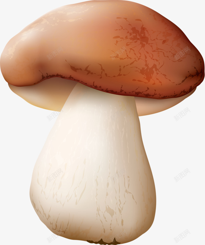 肥美香菇png免抠素材_新图网 https://ixintu.com 很大蘑菇 蘑菇 蘑菇杆 香菇