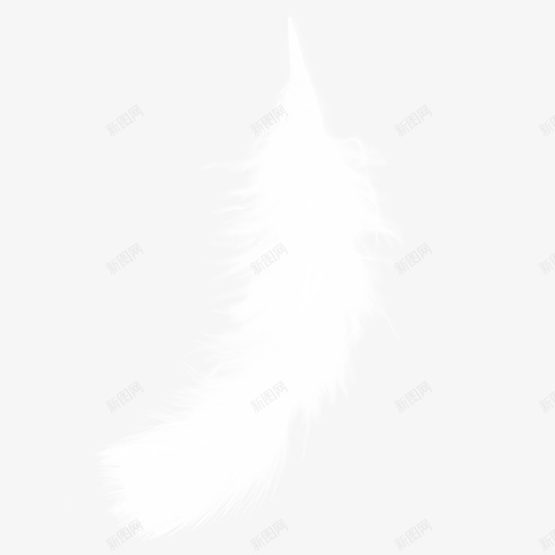 白色羽毛png免抠素材_新图网 https://ixintu.com png图形 png装饰 卡通 白色 简易羽毛 羽毛 装饰 飘逸的羽毛