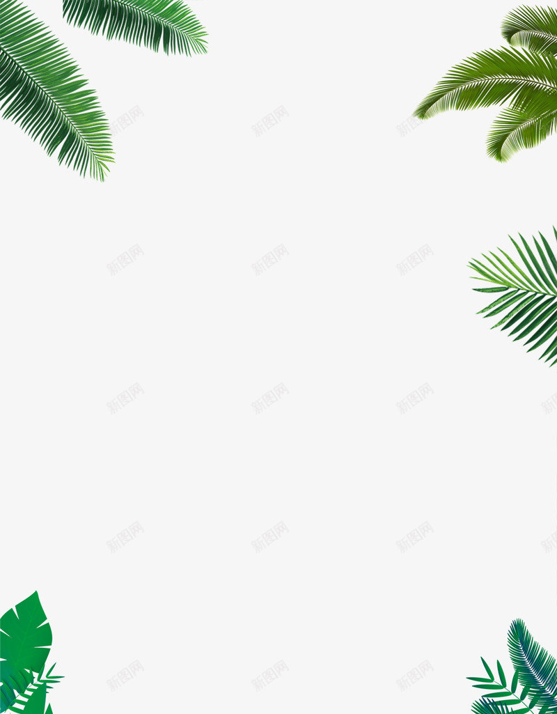 热带植物装饰边框png免抠素材_新图网 https://ixintu.com PNG图片素材 免费素材 热带 绿叶 装饰 边框图案 酷暑