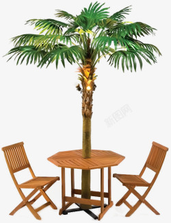 夏日活动植物椰子树沙滩素材