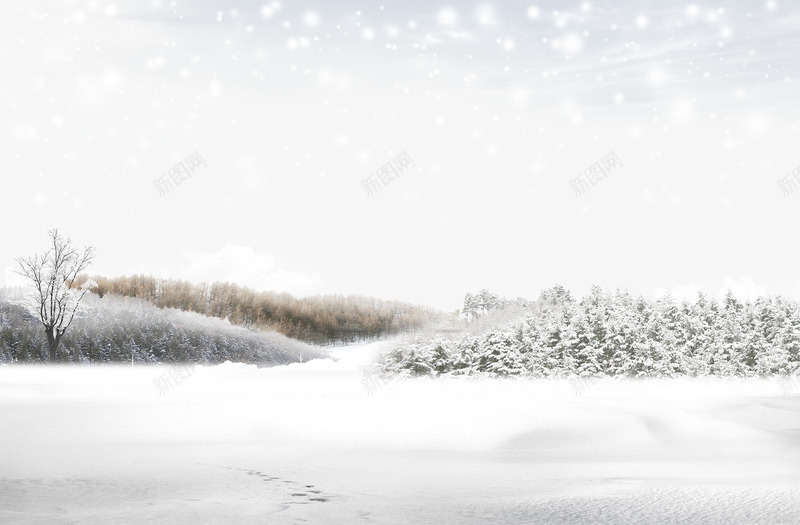 白雪皑皑的世界png免抠素材_新图网 https://ixintu.com 下雪场景 小树植物 白雪皑皑