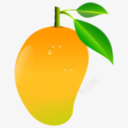 带叶子的芒果素材黄色芒果高清图片