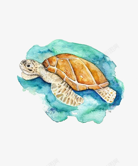 海龟png免抠素材_新图网 https://ixintu.com 乌龟 卡通海龟 手绘海龟 海洋
