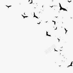 蝙蝠飞翔蝙蝠群高清图片