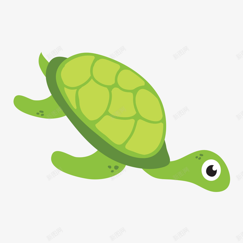 绿色的海龟矢量图ai免抠素材_新图网 https://ixintu.com 海洋 海洋动物 海龟 白色 绿色 绿色海龟 黑色 矢量图
