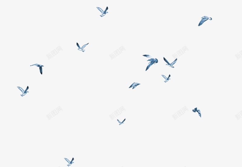 飞翔的蓝色小鸟漂浮小鸟png免抠素材_新图网 https://ixintu.com 漂浮小鸟 飞翔的蓝色小鸟