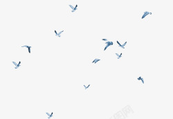 飞翔的蓝色小鸟漂浮小鸟素材
