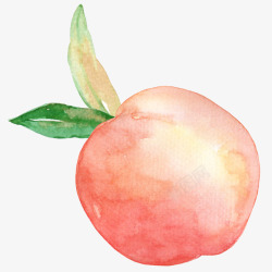 熟透的水彩风熟透桃子粉色高清图片