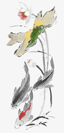 三条鲤鱼水墨国画荷花高清图片