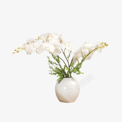 心形花朵盆栽陶瓷花瓶高清图片