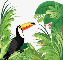 热带雨林的绿植热带雨林鸟高清图片