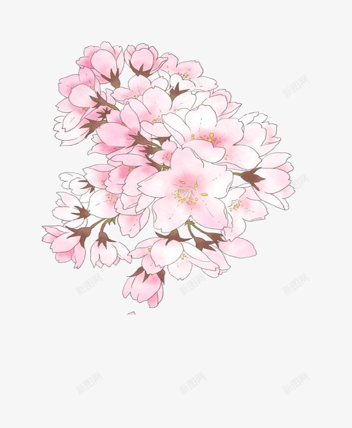 装饰的美png免抠素材_新图网 https://ixintu.com 手绘 樱花飘落 粉红 线描 花卉