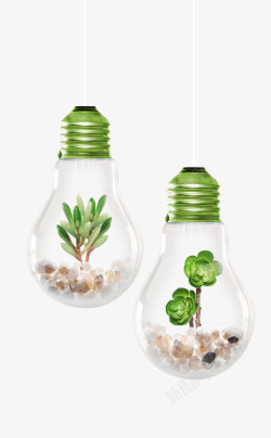 创意橱柜灯泡灯泡里的绿色植物高清图片