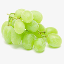 绿色葡萄绿色葡萄水果高清图片