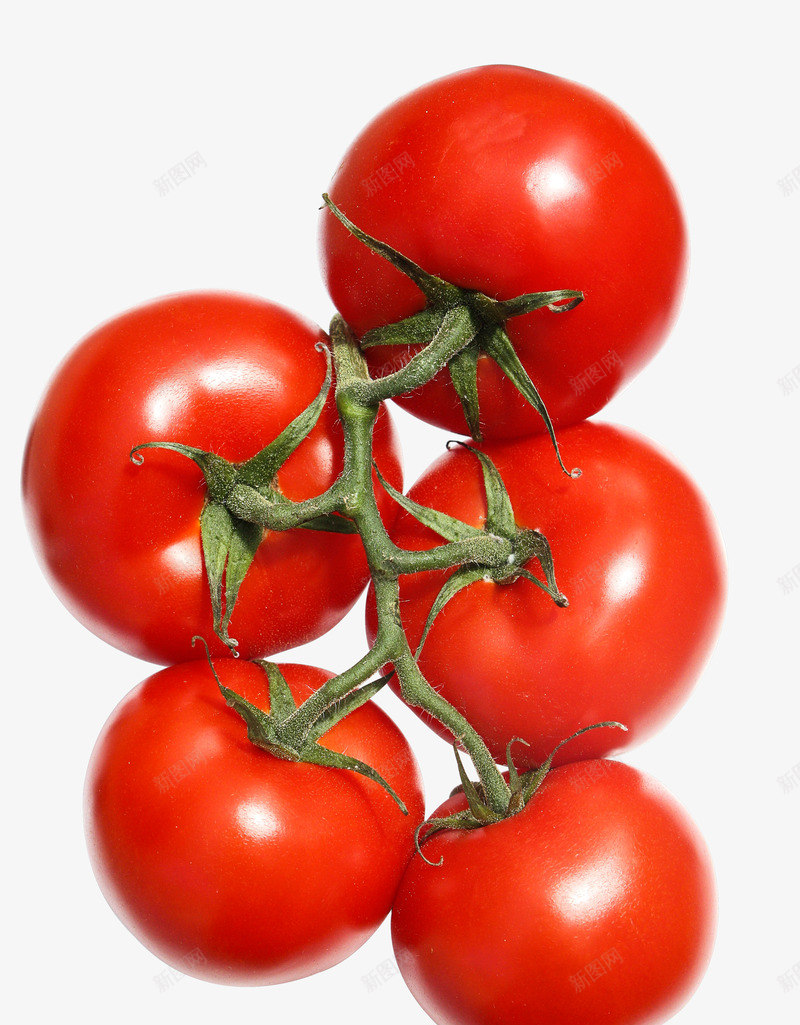 西红柿鲜红的番茄水果png免抠素材_新图网 https://ixintu.com 水果 番茄 蔬菜 西红柿