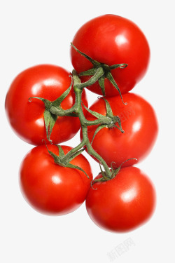 西红柿鲜红的番茄水果素材