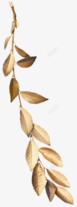 金叶子素材金色叶子涂金叶子高清图片