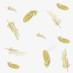 金色漂浮羽毛图素材